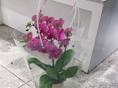 -EPOQUE·一刻花店(兴业太古汇店)