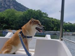 -秦岭终南山世界地质公园翠华山景区