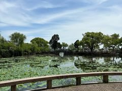 -无锡蠡湖国家湿地公园-蠡园