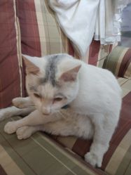 -梵梦影像馆(绿博园店)