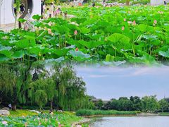 -陶然亭公园