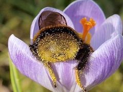 -真老陕(富达大厦店)