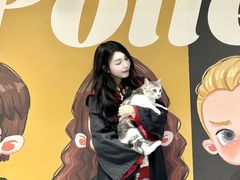 -谜盒子奇幻密室(南屏店)