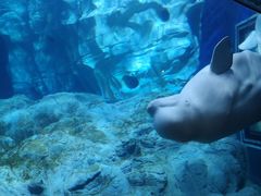 -珠海长隆海洋王国