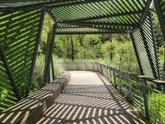 -西湖风景区-江洋畈生态公园