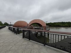 -东寨港红树林旅游区