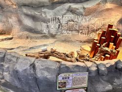 -Zoolung Zoolung动物主题公园(海信广场店)