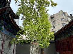 -罔极寺