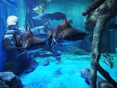 -多彩贵州城极地海洋世界