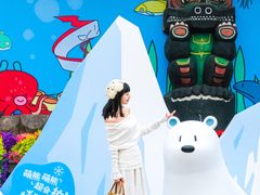 -海合安成都极地海洋公园
