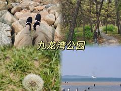 -九龙湾公园