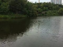 -百林公园-两江幸福广场