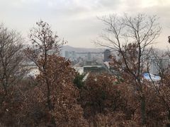 -山东大学(威海校区)