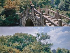 -上海醉白池公园