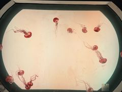 -沈阳海洋探索中心