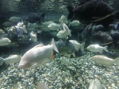 -成都浩海立方海洋公园