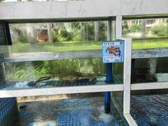 -宴悦海鲜餐厅·游水海鲜·牛排(亚龙湾瑞吉店)