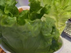 -千牛将·鲜牛肉火锅(开元路店)