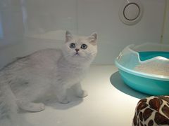 -龟与熊猫宠物公园(南坪店)