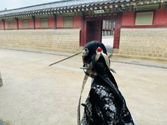 -景福宫
