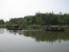 景点-溱湖国家湿地公园