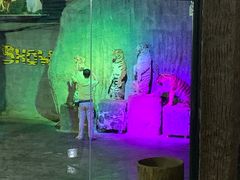 -清迈夜间动物园