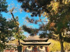 -晋祠公园