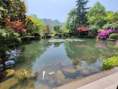 -中国茶叶博物馆(双峰馆区)