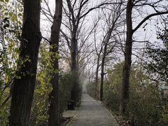 -溱湖国家湿地公园