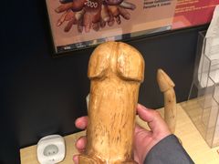 -冰岛阴茎博物馆