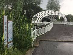 -同里国家湿地公园