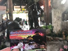 -清迈夜间动物园