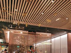 -京华烟云·北京烤鸭(领展购物广场·中关村店)