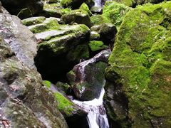 -藏龙百瀑风景区