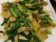 姜葱炒鱼泡-正能量脆肉鲩火锅