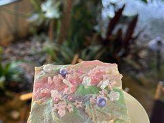 -J Create城市露营咖啡·简餐·宠物(上海动物园店)