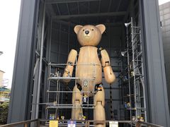 -济州岛泰迪熊博物馆