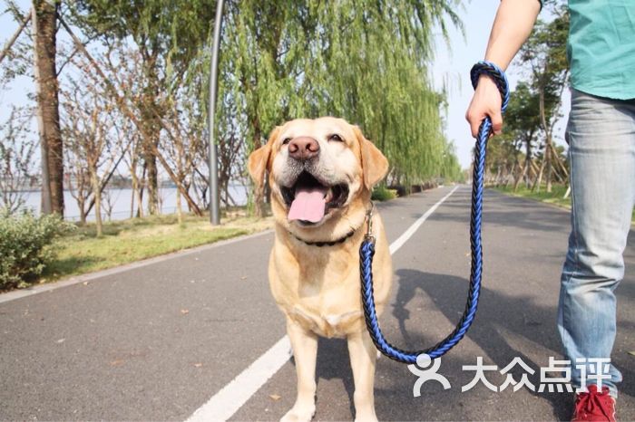 开心的马骝仔113           开心的马骝仔113