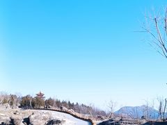 -白水寺森林公园