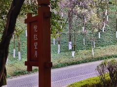 -龙头寺公园
