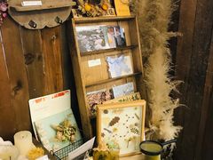 -知物癖(牛王庙店)