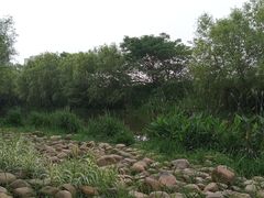 -新江湾城公园