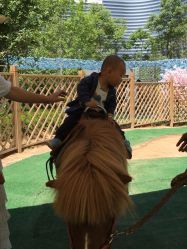 -萌宠亲子动物乐园(槐房万达店)