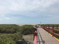 -北海金海湾红树林生态旅游区