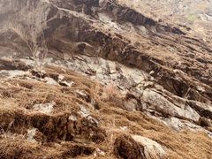 -苍山世界地质公园·石门关大峡谷