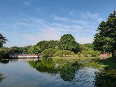 -东莞植物园