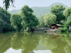 -双新垂钓园