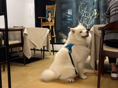 -BONAZZA 意大利餐厅