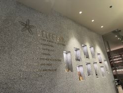 -VELEE·SPA高定疗愈会所