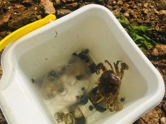 -东戴河风景区-止锚湾